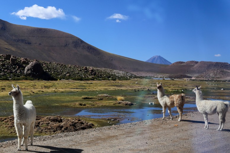 Atacama_083