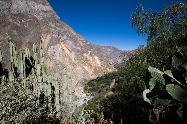 Arequipa & Colca Canyon_052