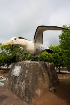 Galapagos_009