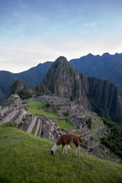 Machu Picchu_188
